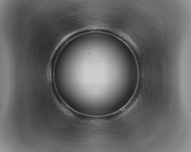 X0000111200934200907081239