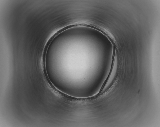 X0000111200936200907081239