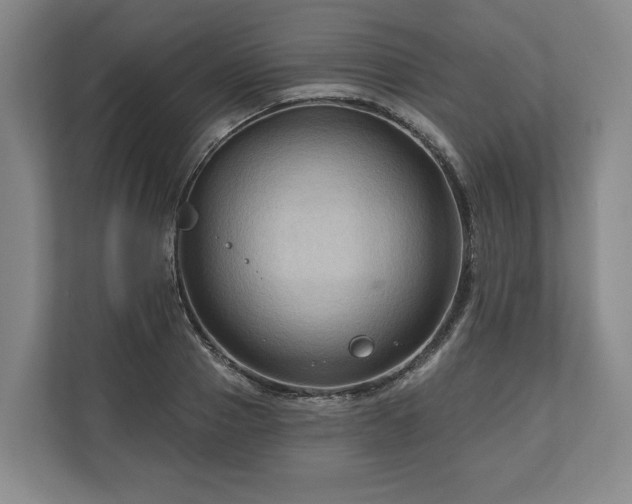 X0000111200937200907081239