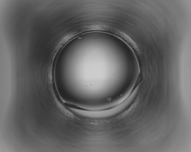 X0000111200938200907081239