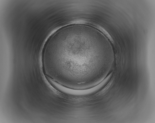 X0000111200939200907081239