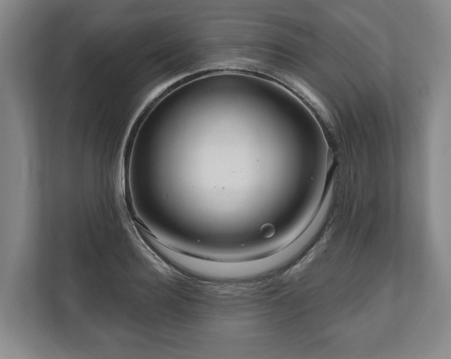 X0000111200940200907081239