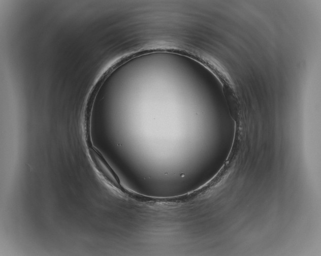 X0000111200942200907081239