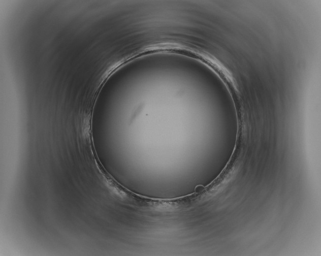 X0000111200945200907081239