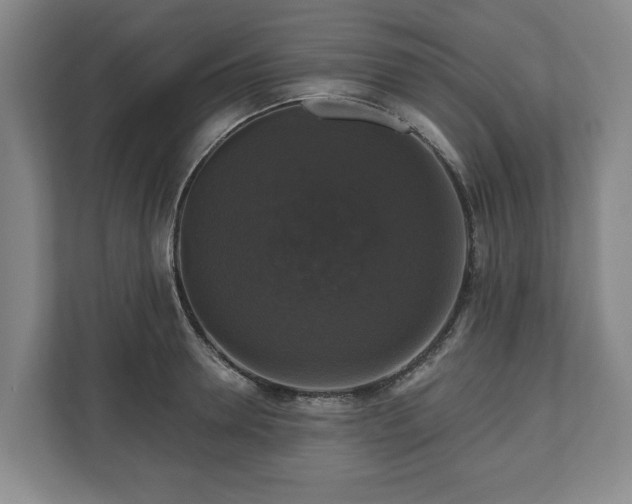 X0000111200946200907081239