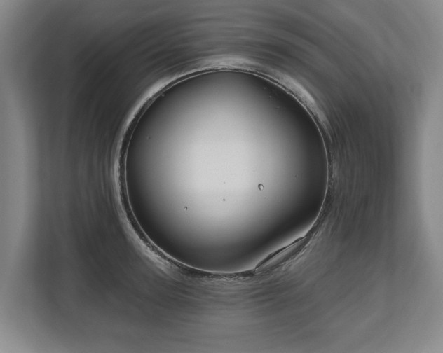 X0000111200947200907081239