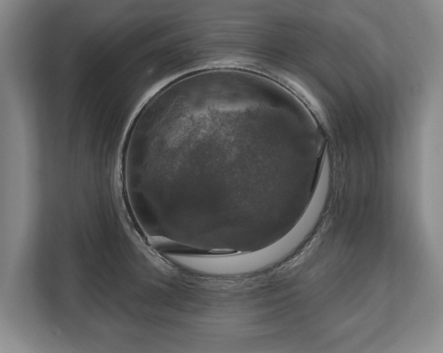 X0000111200948200907081239