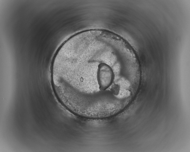 X0000111200950200907081239