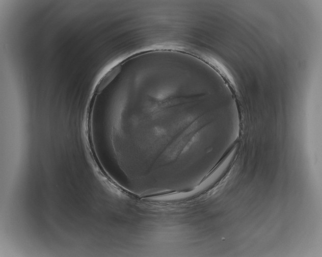 X0000111200952200907081239