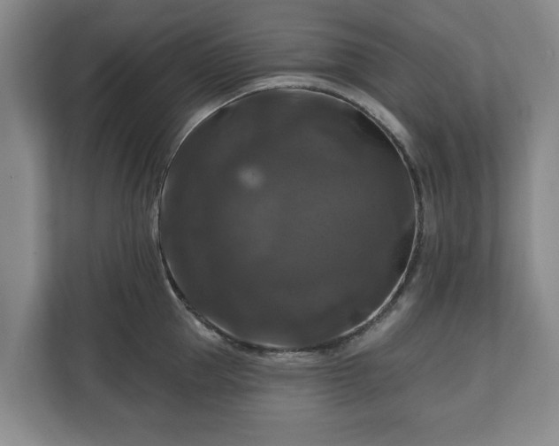 X0000111200953200907081239