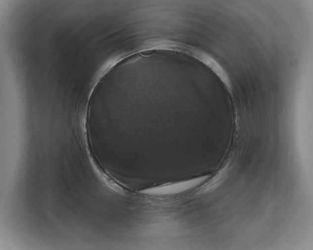 X0000111200954200907081239