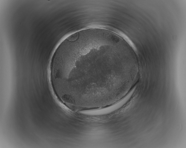 X0000111200955200907081239