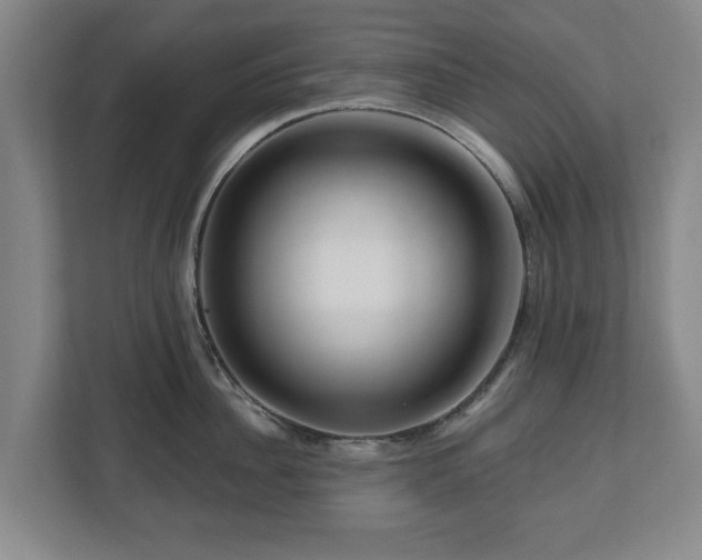 X0000111200956200907081239