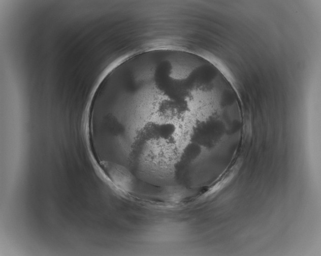 X0000111200957200907081239