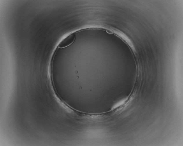 X0000111200958200907081239