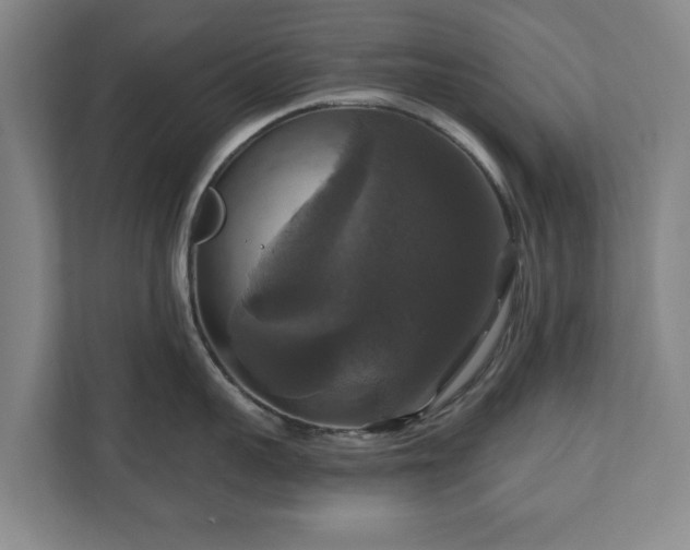 X0000111200959200907081239