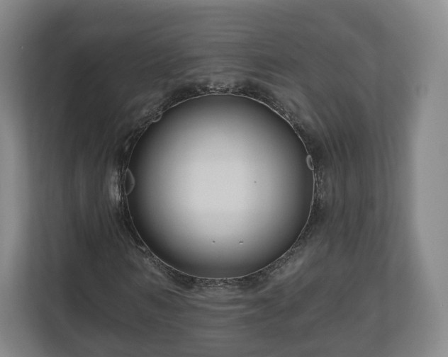 X0000111200962200907081238