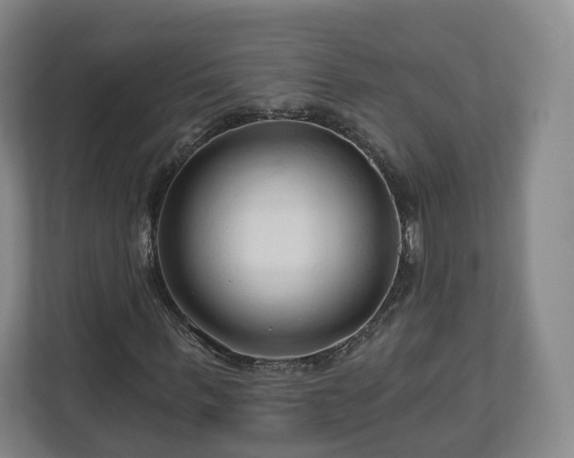 X0000111200963200907081238