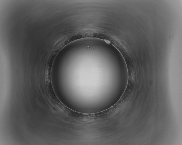 X0000111200964200907081238