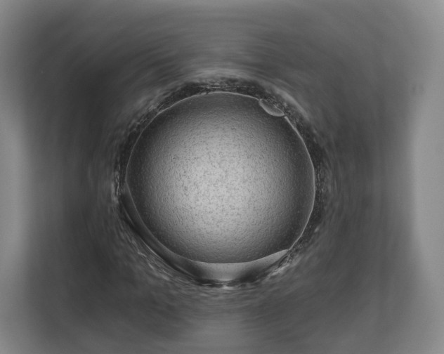 X0000111200965200907081238