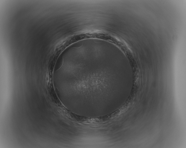 X0000111200966200907081238