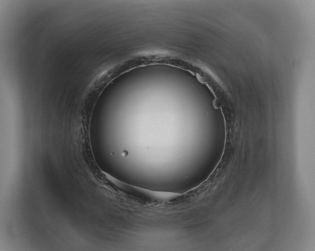 X0000111200967200907081238