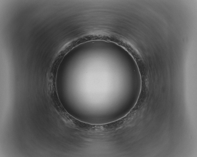 X0000111200968200907081238