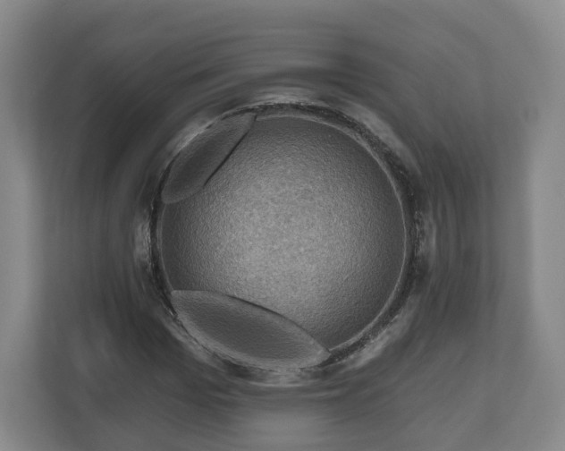 X0000111200969200907081238