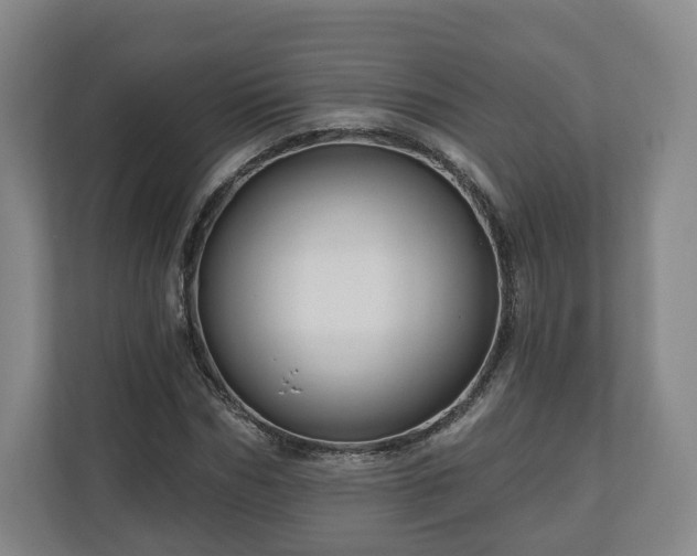 X0000111200970200907081238