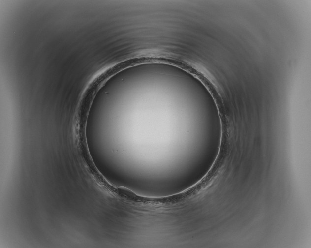 X0000111200971200907081238