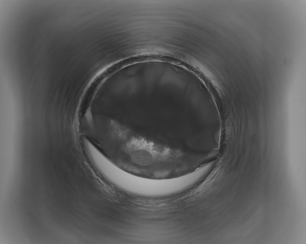 X0000111200975200907081238