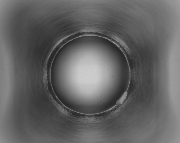 X0000111200976200907081238