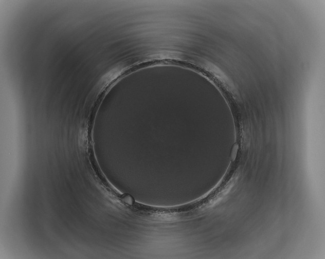 X0000111200977200907081238