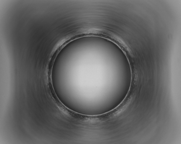 X0000111200978200907081238