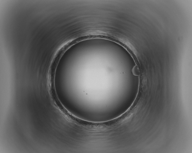 X0000111200979200907081238