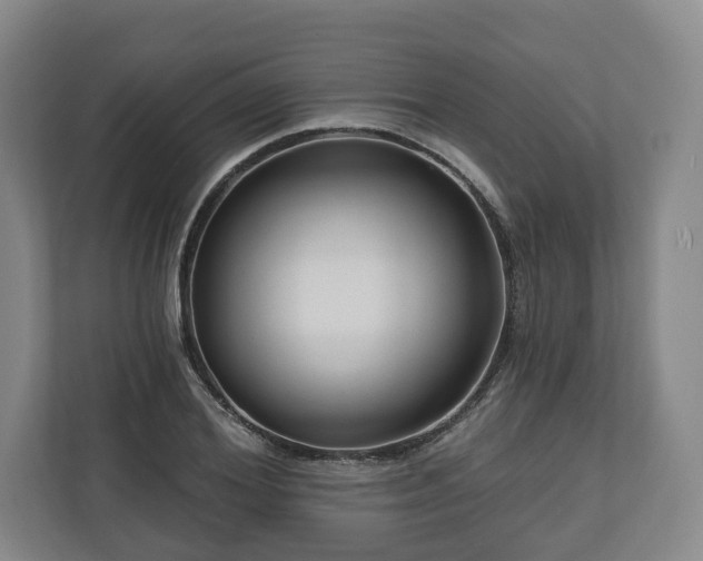 X0000111200980200907081238