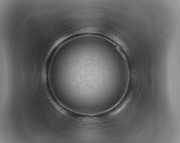 X0000111200981200907081238