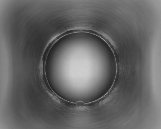 X0000111200982200907081238