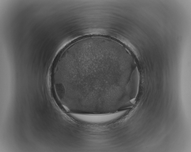 X0000111200983200907081238