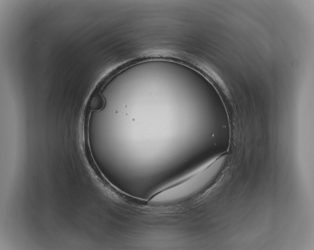 X0000111200984200907081238