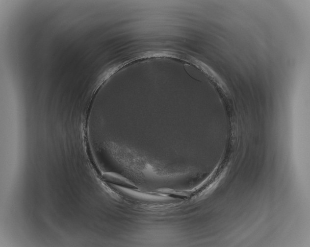 X0000111200985200907081238