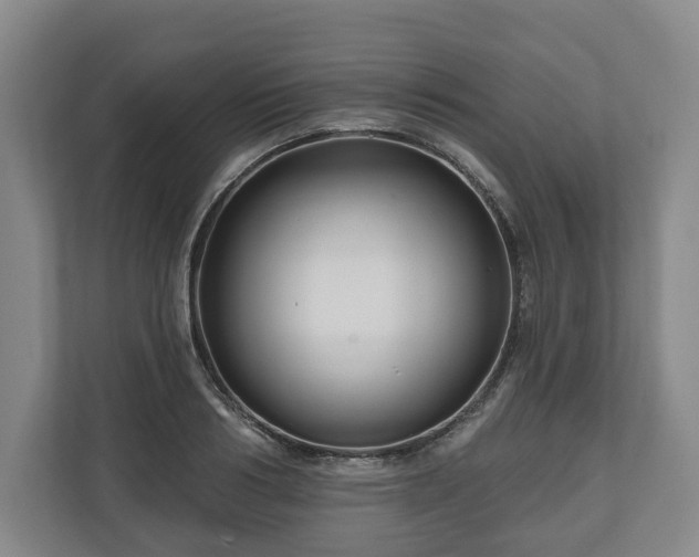 X0000111200986200907081238