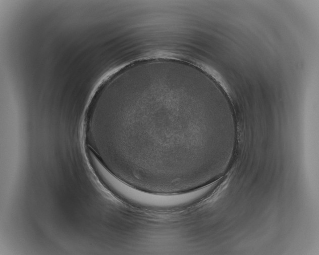 X0000111200987200907081238