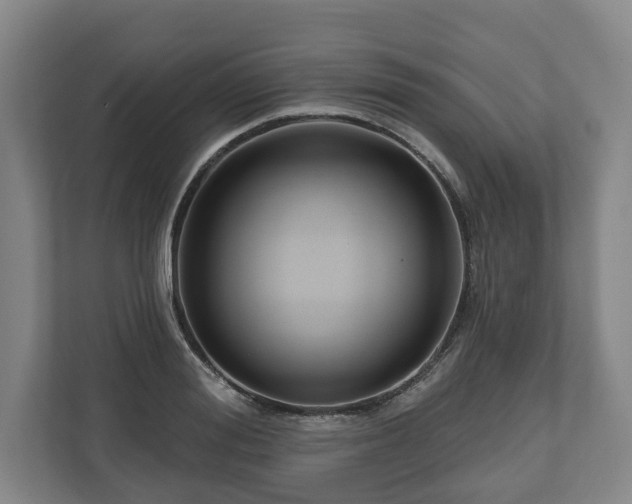 X0000111200988200907081238