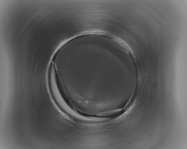 X0000111200989200907081238