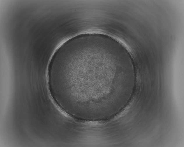 X0000111200990200907081238