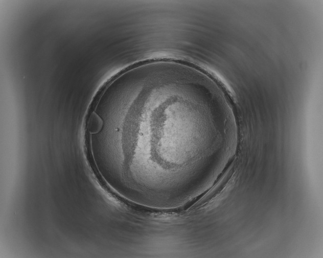 X0000111200991200907081238