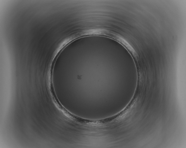 X0000111200994200907081238