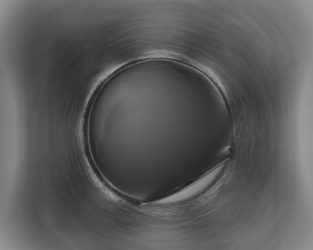 X0000111200995200907081238