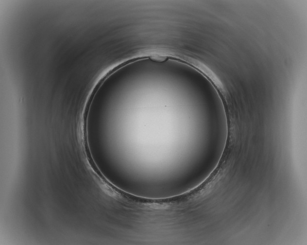 X0000111200996200907081238